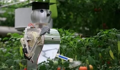 机器人在农业中的应用