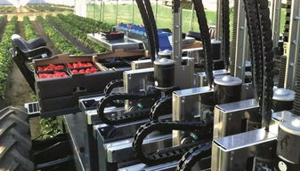 机器人技术在农业中的应用研究