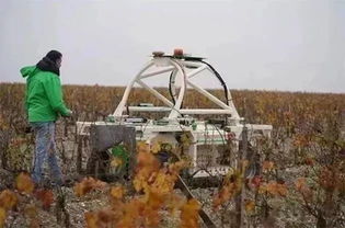 机器人在农业生产中的应用研究