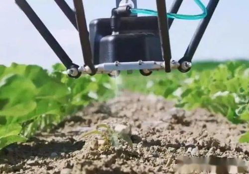 农业机器人可以应用于哪些领域