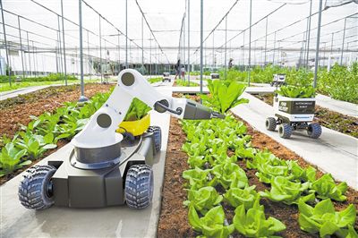 机器人技术在农业机械领域的应用研究现状